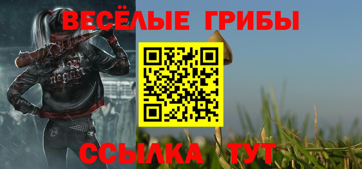 Галлюциногенные грибы MAGIC MUSHROOMS  Вход с VPN  Лесозаводск 